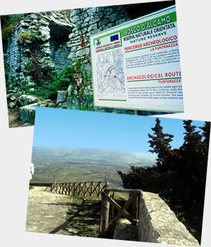 Bosco d'Alcamo Nature Reser