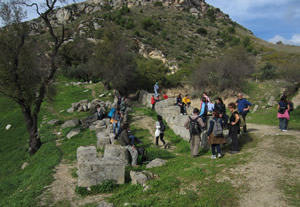 our services in Scopello