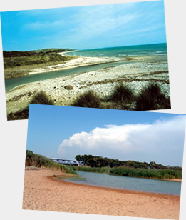 Bel&igrave;ce river mouth and adjacent dunes Nature Reserve
