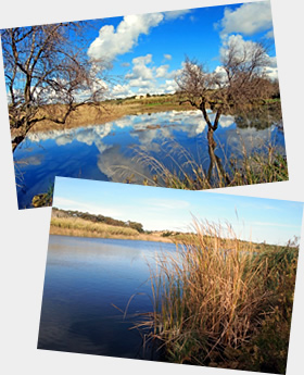 Lago Preola and Gorghi Tondi Nature Reserve