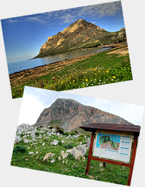 Mount Cofano
