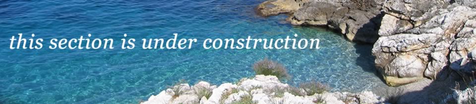 this section is under construction